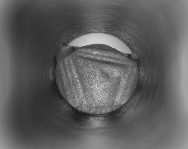 X0000088850470200707061036