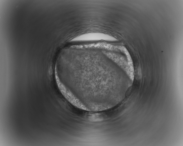 X0000088850472200707061036