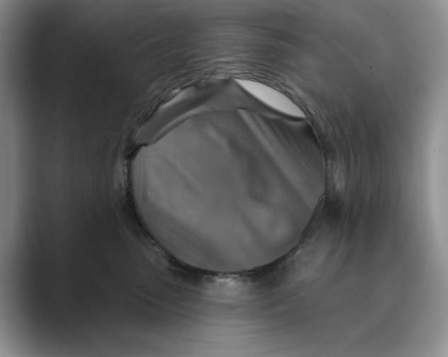 X0000088850475200707061036