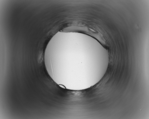 X0000088850478200707061036