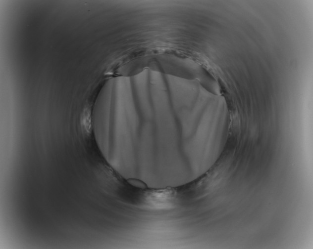 X0000088850479200707061036