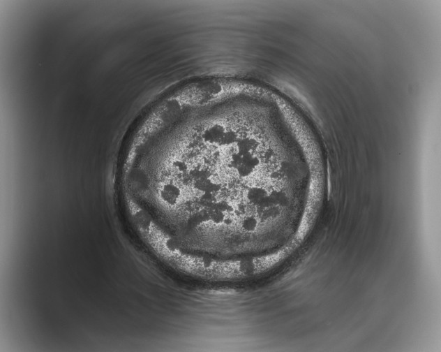 X0000088850483200707061035