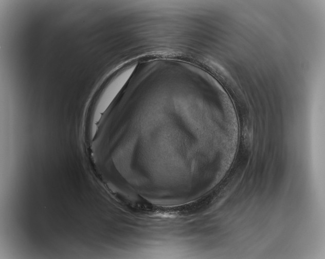 X0000088850484200707061035