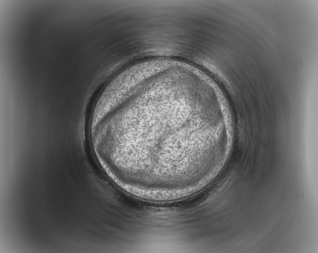 X0000088850486200707061035
