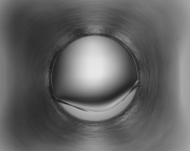 X0000088850489200707061035