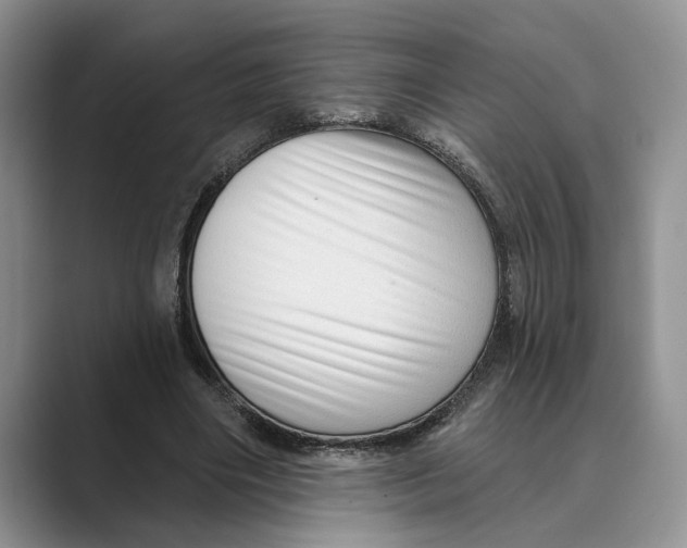 X0000088850490200707061035
