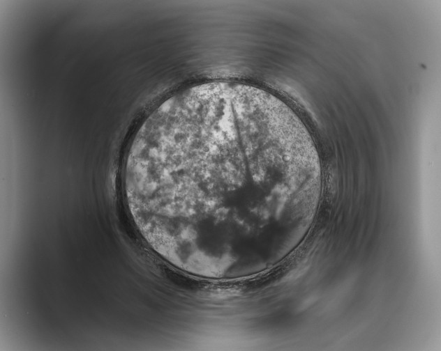 X0000088850491200707061035