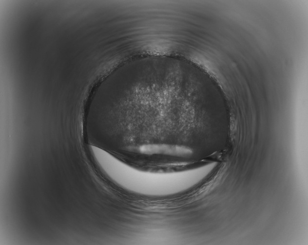 X0000088850493200707061035
