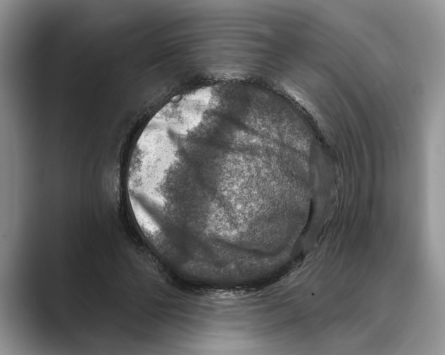 X0000088850494200707061035