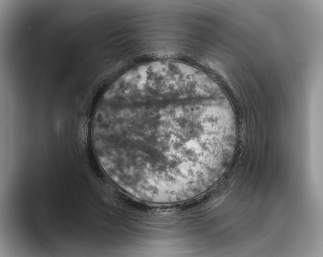 X0000088850495200707061035