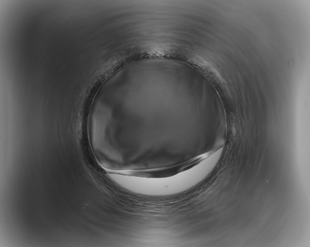 X0000088850496200707061035