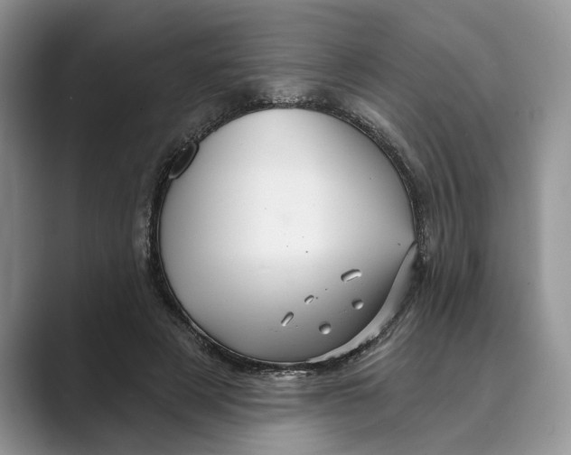 X0000088850497200707061035