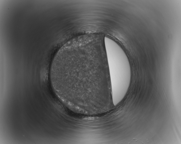 X0000088850499200707061035