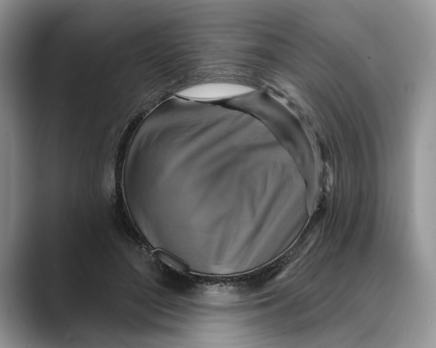 X0000088850500200707061035