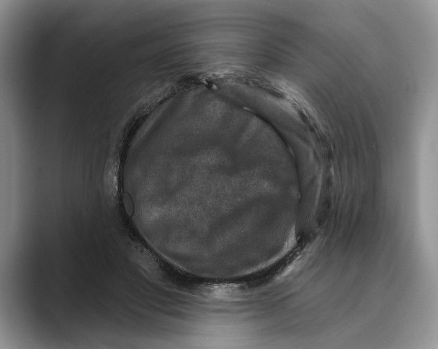 X0000088850501200707061035