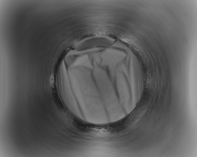 X0000088850502200707061035