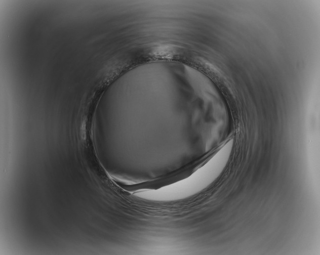 X0000088850504200707061035