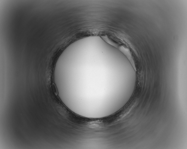 X0000088850505200707061035