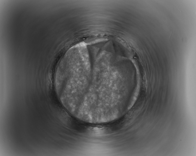 X0000088850506200707061035