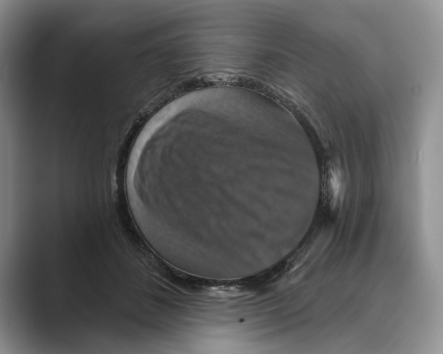 X0000088850508200707061035