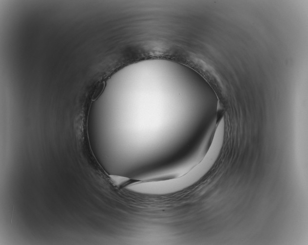 X0000088850509200707061035