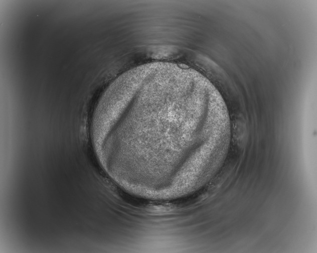 X0000088850510200707061035