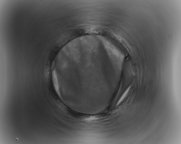 X0000088850513200707061035