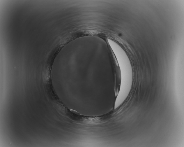 X0000088850517200707061035