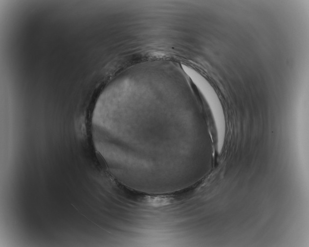 X0000088850520200707061035