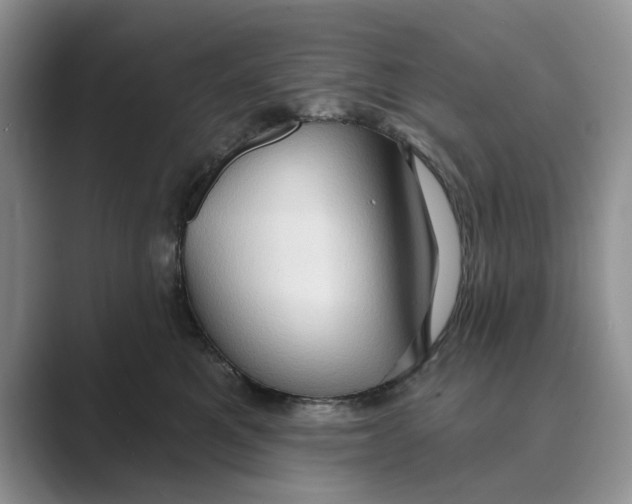 X0000088850521200707061035