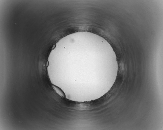 X0000088850522200707061035