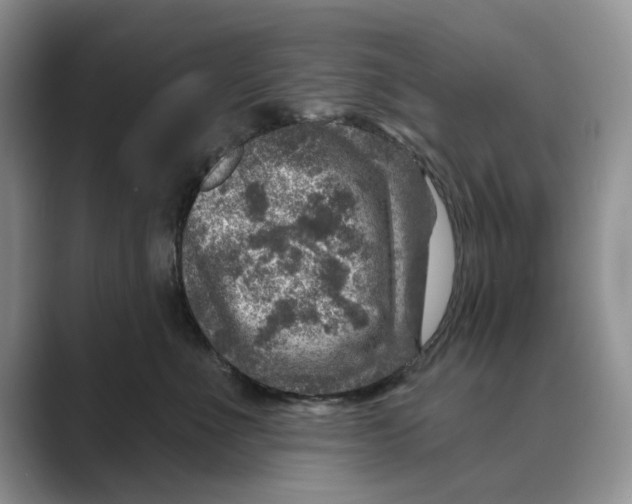 X0000088850523200707061035