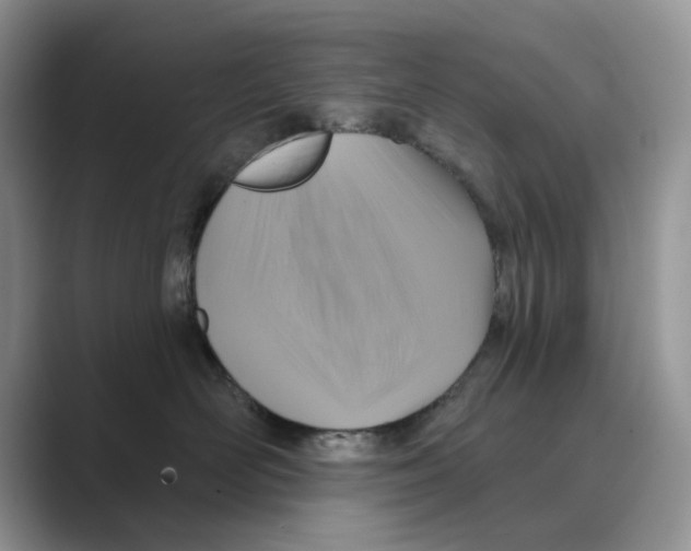 X0000088850526200707061035