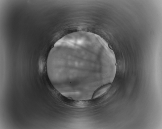 X0000088850527200707061035