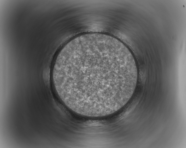 X0000088850534200707061034