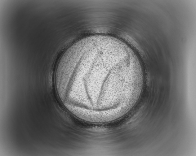 X0000088850537200707061034