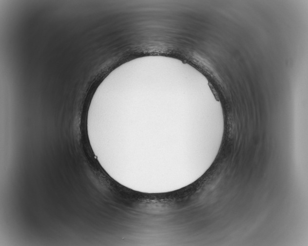 X0000088850538200707061035