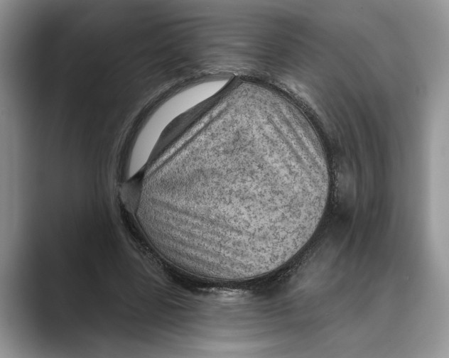 X0000088850539200707061035