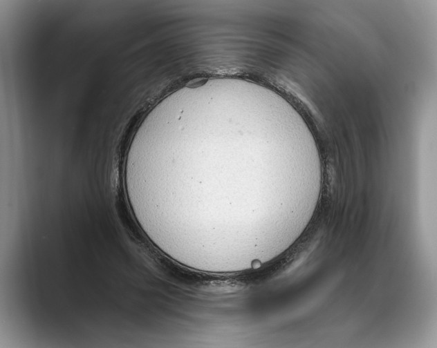 X0000088850541200707061035