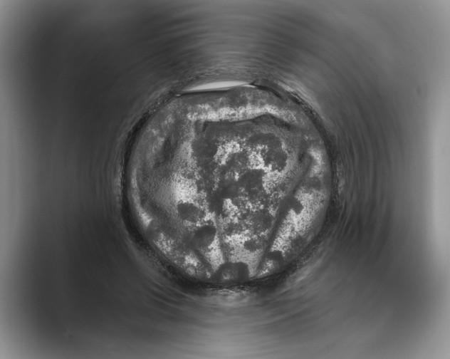 X0000088850542200707061035