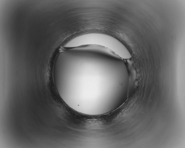 X0000088850544200707061035