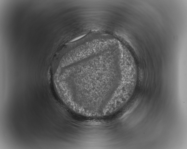 X0000088850545200707061035