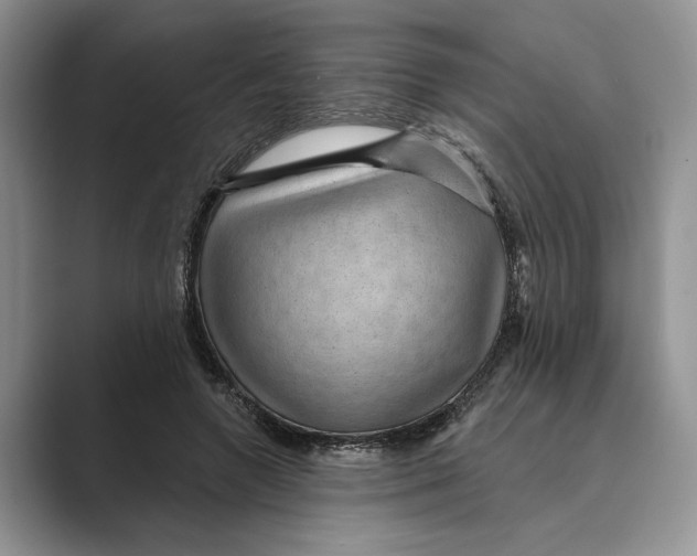 X0000088850546200707061035