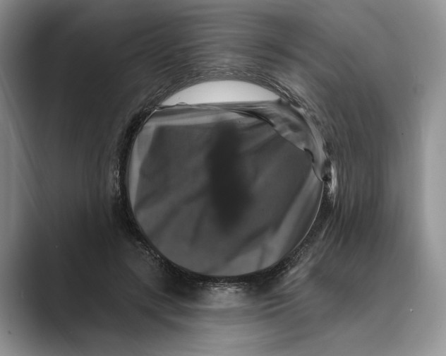 X0000088850547200707061035