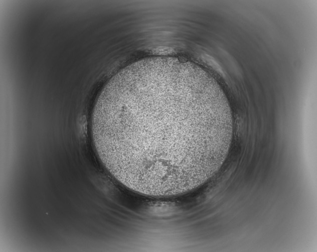 X0000088850549200707061035