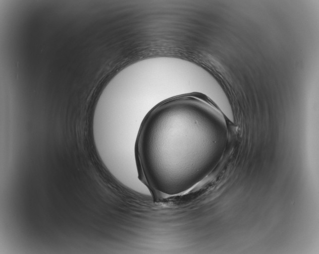 X0000088850552200707061035
