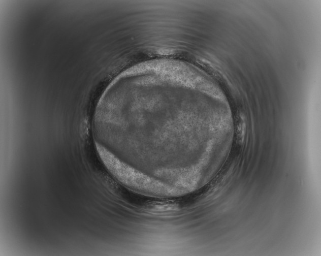 X0000088850555200707061035