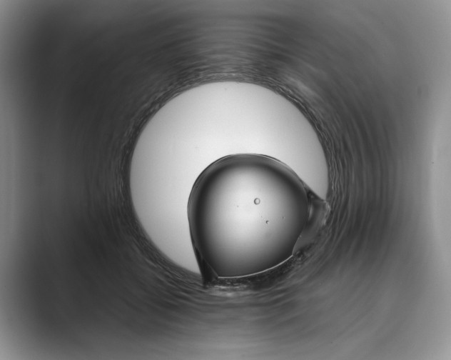 X0000088850556200707061035
