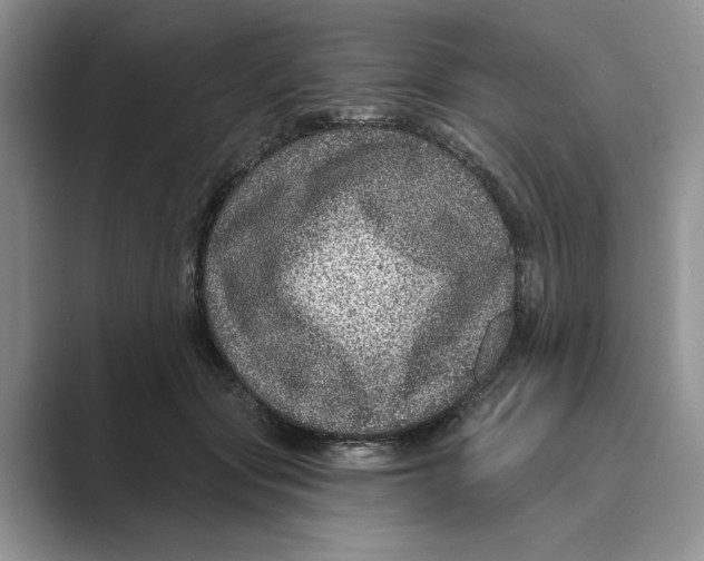 X0000088850557200707061035