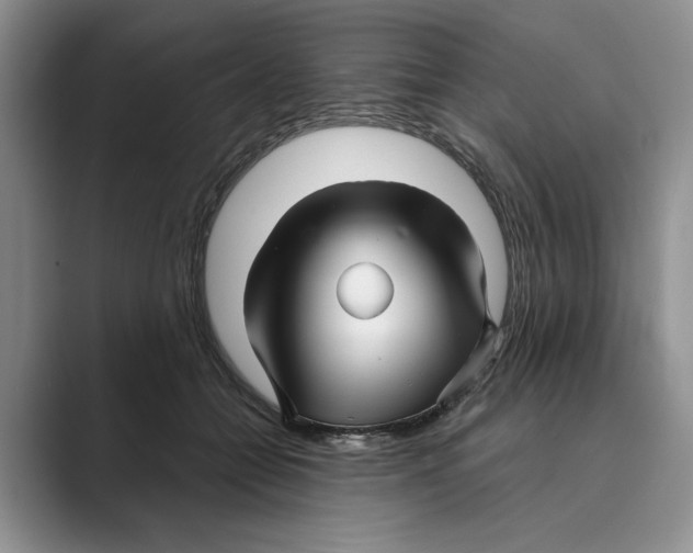 X0000088850558200707061035